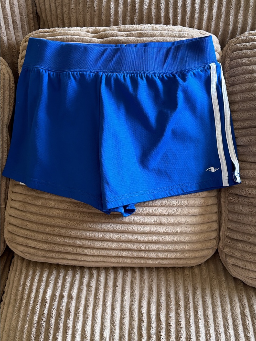Blue Athletic Skort with Side Stripe